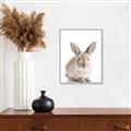 Picture of In Front Bunny _GroupedProduct_Rectangle_Portrait_Canvas_Framed_