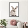 Picture of In Front Bunny _GroupedProduct_Rectangle_Portrait_Canvas_Framed_