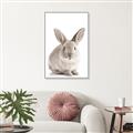 Picture of In Front Bunny _GroupedProduct_Rectangle_Portrait_Canvas_Framed_