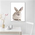 Picture of In Front Bunny _GroupedProduct_Rectangle_Portrait_Canvas_Framed_