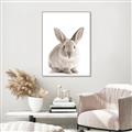 Picture of In Front Bunny _GroupedProduct_Rectangle_Portrait_Canvas_Framed_
