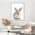 Picture of In Front Bunny _GroupedProduct_Rectangle_Portrait_Canvas_Framed_