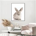 Picture of In Front Bunny _GroupedProduct_Rectangle_Portrait_Canvas_Framed_