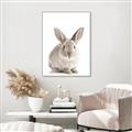 Picture of In Front Bunny _GroupedProduct_Rectangle_Portrait_Canvas_Framed_
