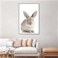Picture of In Front Bunny _GroupedProduct_Rectangle_Portrait_Canvas_Framed_