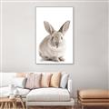 Picture of In Front Bunny _GroupedProduct_Rectangle_Portrait_Canvas_Framed_