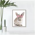 Picture of Floral In Front Bunny _GroupedProduct_Rectangle_Portrait_Canvas_Framed_