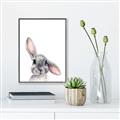 Picture of Floppy Bunny _GroupedProduct_Rectangle_Portrait_Canvas_Framed_