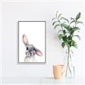 Picture of Floppy Bunny _GroupedProduct_Rectangle_Portrait_Canvas_Framed_