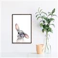 Picture of Floppy Bunny _GroupedProduct_Rectangle_Portrait_Canvas_Framed_