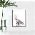 Picture of Floppy Bunny _GroupedProduct_Rectangle_Portrait_Canvas_Framed_
