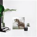Picture of Trex in the Woods _GroupedProduct_Square_Unframed_Print_Only_