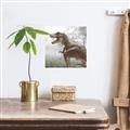 Picture of Trex in the Woods _GroupedProduct_Square_Unframed_Print_Only_