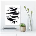 Picture of Ocean Life Black and White _GroupedProduct_Rectangle_Portrait_Unframed_Print_Only_