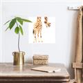 Picture of Bending over Giraffe _GroupedProduct_Square_Unframed_Print_Only_