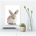 Picture of In Front Bunny _GroupedProduct_Rectangle_Portrait_Unframed_Print_Only_
