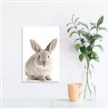 Picture of In Front Bunny _GroupedProduct_Rectangle_Portrait_Unframed_Print_Only_