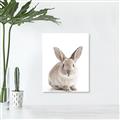 Picture of In Front Bunny _GroupedProduct_Rectangle_Portrait_Unframed_Print_Only_