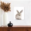 Picture of In Front Bunny _GroupedProduct_Rectangle_Portrait_Unframed_Print_Only_