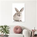 Picture of In Front Bunny _GroupedProduct_Rectangle_Portrait_Unframed_Print_Only_