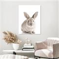 Picture of In Front Bunny _GroupedProduct_Rectangle_Portrait_Unframed_Print_Only_