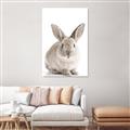 Picture of In Front Bunny _GroupedProduct_Rectangle_Portrait_Unframed_Print_Only_