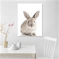 Picture of In Front Bunny _GroupedProduct_Rectangle_Portrait_Unframed_Print_Only_