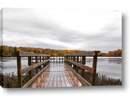 Picture of Autumn Dock