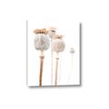 Picture of About to Bloom  _GroupedProduct_Rectangle_Portrait_Photography _GroupedProduct_Rectangle_Portrait_Canvas_