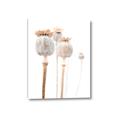 Picture of About to Bloom  _GroupedProduct_Rectangle_Portrait_Photography _GroupedProduct_Rectangle_Portrait_Canvas_