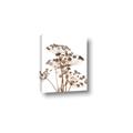 Picture of Angelica Plant _GroupedProduct_Rectangle_Portrait_Canvas_