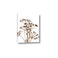 Picture of Angelica Plant _GroupedProduct_Rectangle_Portrait_Canvas_
