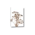 Picture of Angelica Plant _GroupedProduct_Rectangle_Portrait_Canvas_