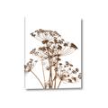 Picture of Angelica Plant _GroupedProduct_Rectangle_Portrait_Canvas_