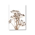 Picture of Angelica Plant _GroupedProduct_Rectangle_Portrait_Canvas_