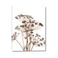 Picture of Angelica Plant _GroupedProduct_Rectangle_Portrait_Canvas_