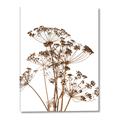 Picture of Angelica Plant _GroupedProduct_Rectangle_Portrait_Canvas_
