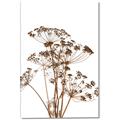 Picture of Angelica Plant _GroupedProduct_Rectangle_Portrait_Canvas_