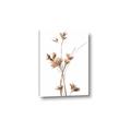 Picture of Aster Flower  _GroupedProduct_Rectangle_Portrait_Photography _GroupedProduct_Rectangle_Portrait_Canvas_