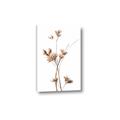 Picture of Aster Flower  _GroupedProduct_Rectangle_Portrait_Photography _GroupedProduct_Rectangle_Portrait_Canvas_