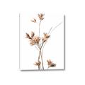 Picture of Aster Flower  _GroupedProduct_Rectangle_Portrait_Photography _GroupedProduct_Rectangle_Portrait_Canvas_