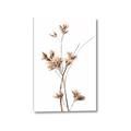 Picture of Aster Flower  _GroupedProduct_Rectangle_Portrait_Photography _GroupedProduct_Rectangle_Portrait_Canvas_