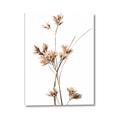Picture of Aster Flower  _GroupedProduct_Rectangle_Portrait_Photography _GroupedProduct_Rectangle_Portrait_Canvas_