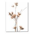 Picture of Aster Flower  _GroupedProduct_Rectangle_Portrait_Photography _GroupedProduct_Rectangle_Portrait_Canvas_