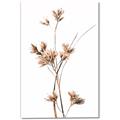 Picture of Aster Flower  _GroupedProduct_Rectangle_Portrait_Photography _GroupedProduct_Rectangle_Portrait_Canvas_