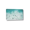 Picture of Beach from the Sky _GroupedProduct_Rectangle_Landscape_Photography _GroupedProduct_Rectangle_Landscape_Canvas_