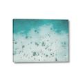 Picture of Beach from the Sky _GroupedProduct_Rectangle_Landscape_Photography _GroupedProduct_Rectangle_Landscape_Canvas_
