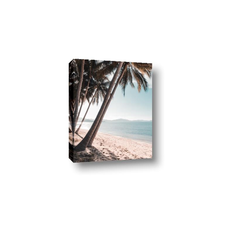 Picture of Beach Palms  _GroupedProduct_Rectangle_Portrait_Photography _GroupedProduct_Rectangle_Portrait_Canvas_