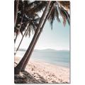 Picture of Beach Palms  _GroupedProduct_Rectangle_Portrait_Photography _GroupedProduct_Rectangle_Portrait_Canvas_