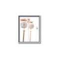 Picture of About to Bloom  _GroupedProduct_Rectangle_Portrait_Photography _GroupedProduct_Rectangle_Portrait_Canvas_Framed_